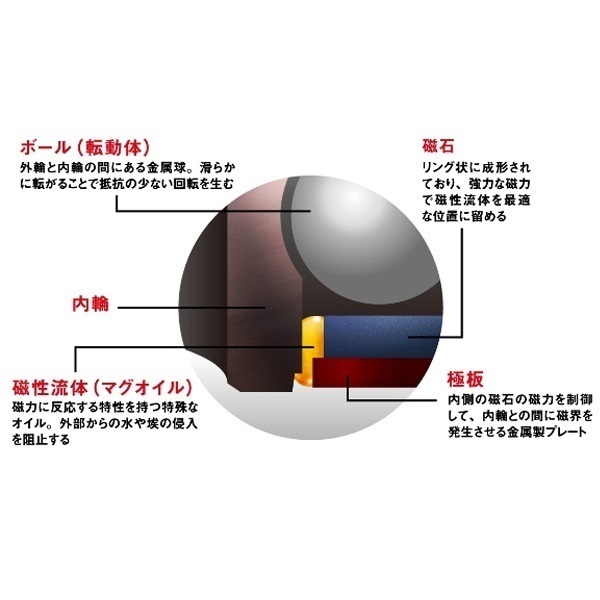 21シーボーグ